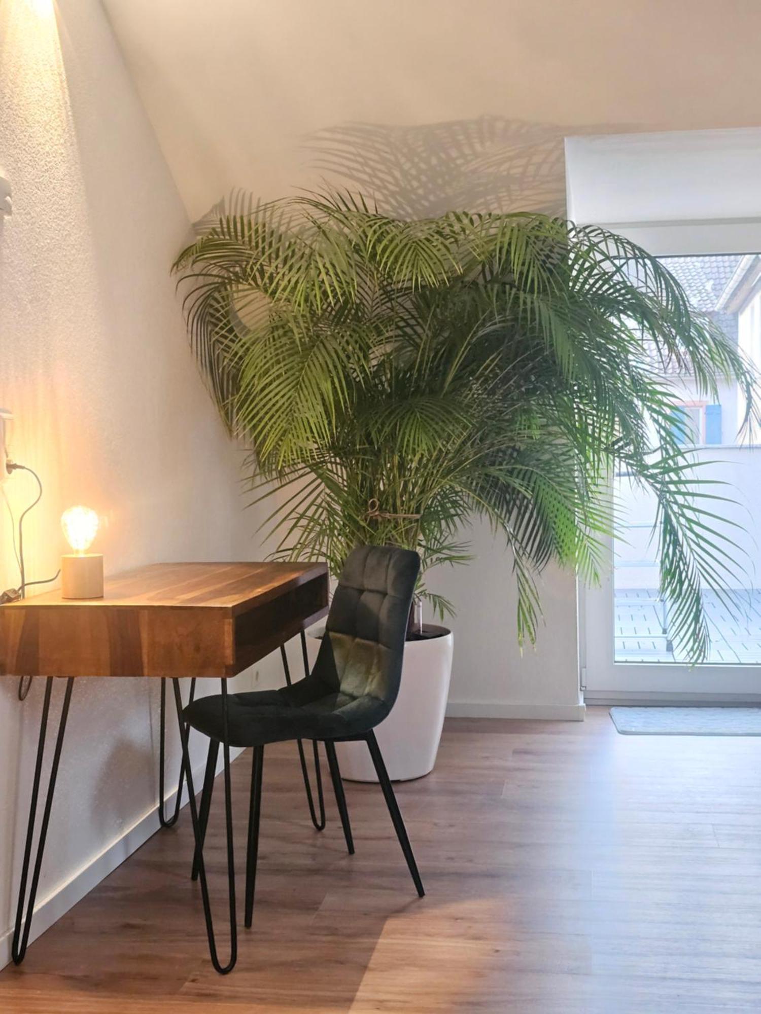 Appartamento Design-Penthouse I 90Qm I Europapark 20 Min I Boxspring I Nespresso I Parking Lahr  Esterno foto